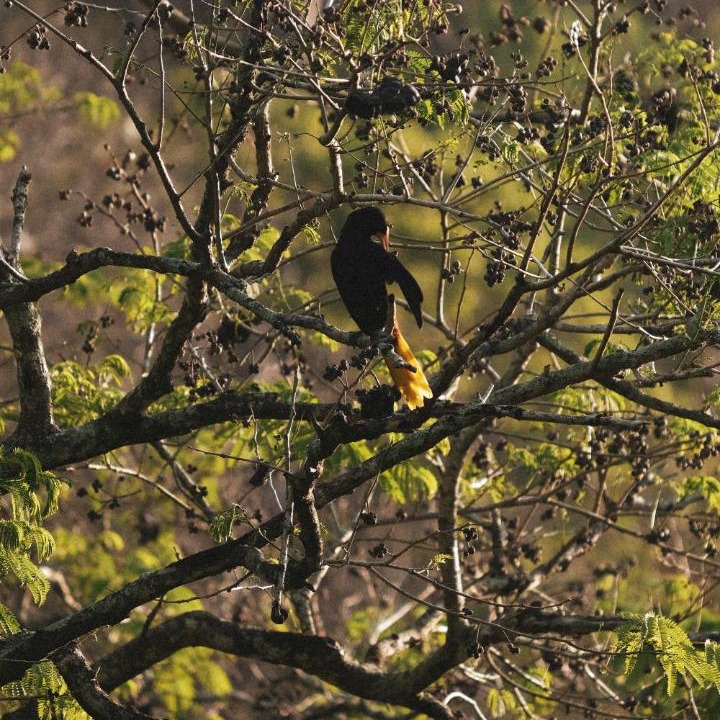 Photo of Others in Santa Marta