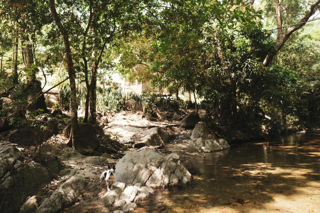 Photo of Others in Santa Marta