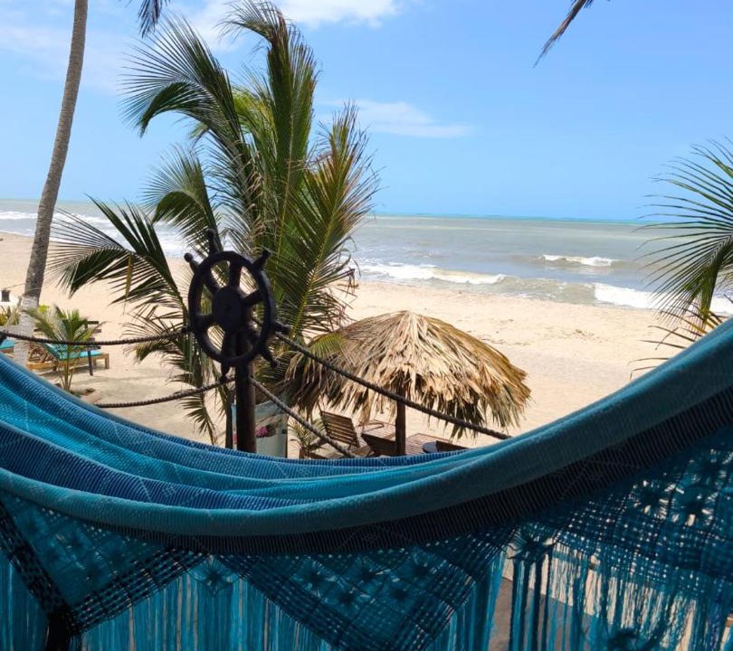 Photo of Others in Palomino