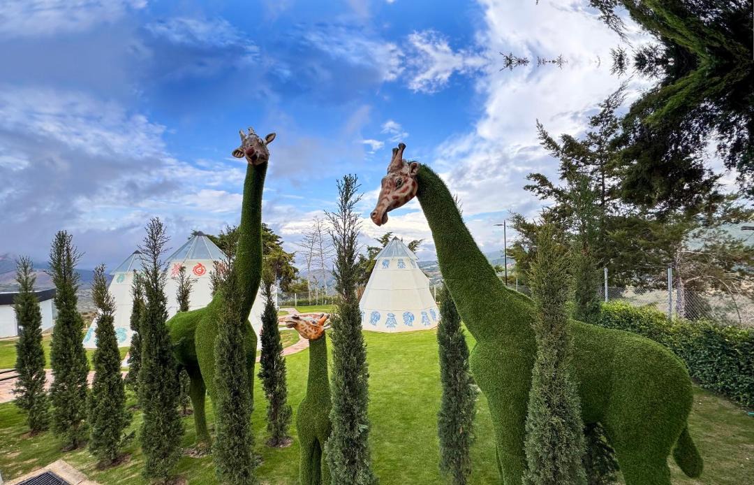 Photo of Others in Zapatoca