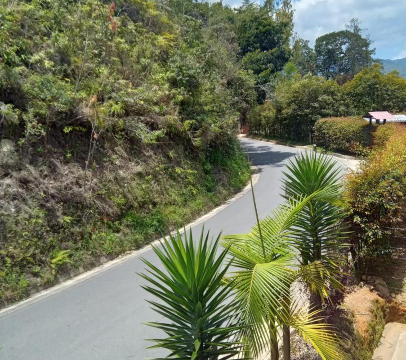 Photo of Others in Concepcion
