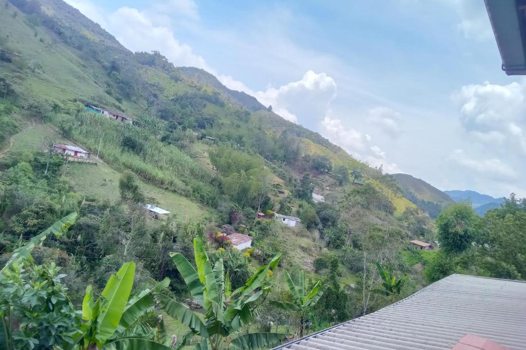 Photo of Others in Concepcion