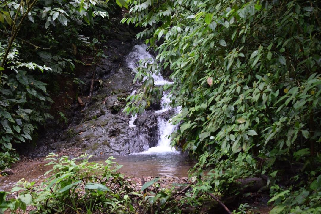 Photo of Others in Bahia Solano