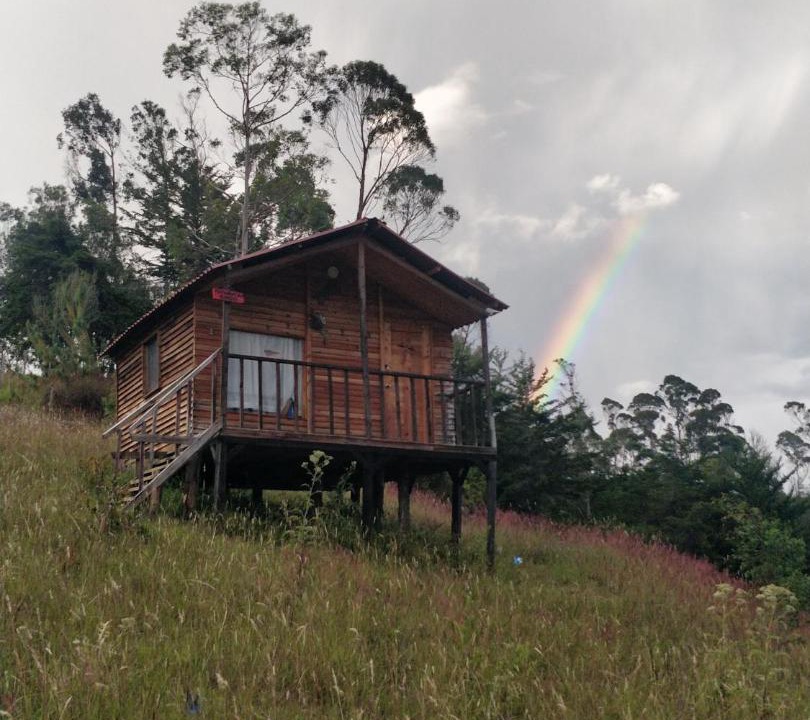 Photo of Others in Tenza