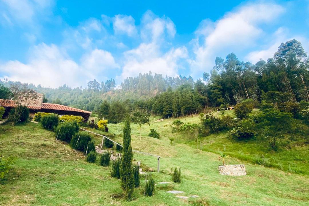 Photo of Others in Boyaca