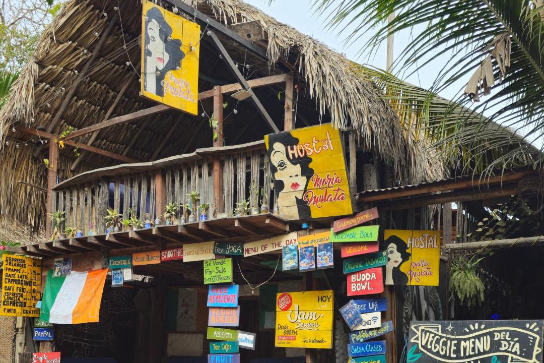 Photo of Others in Palomino