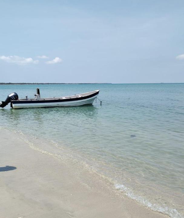Photo of Others in Rincon