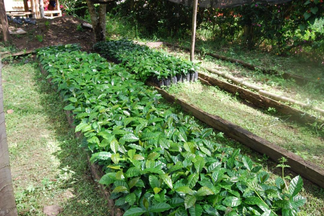 Photo of Others in Cumaca