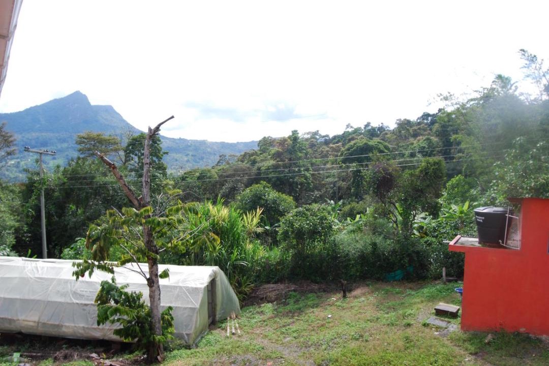 Photo of Others in Cumaca