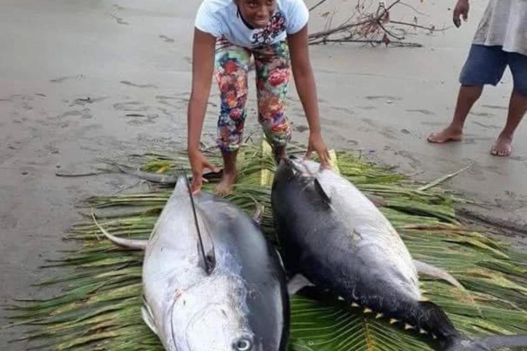 Photo of Others in Nuqui