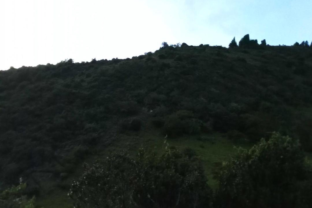 Photo of Others in Guatavita