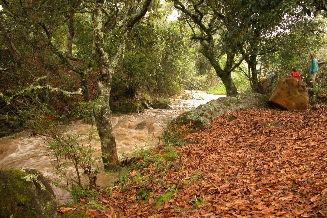 Photo of Others in Tinjaca