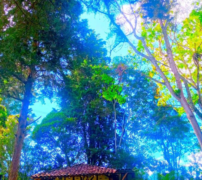 Photo of Others in San Agustin