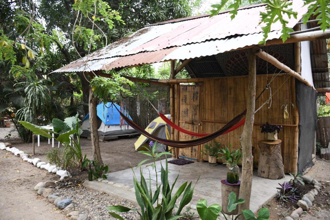 Photo of Others in Palomino