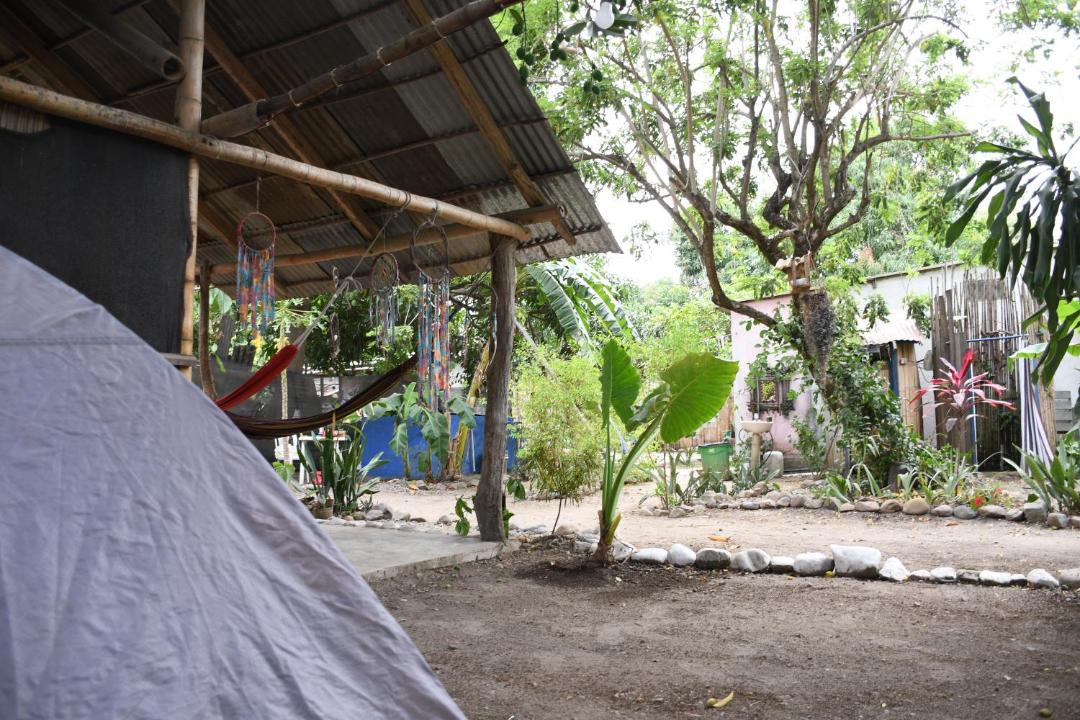 Photo of Others in Palomino