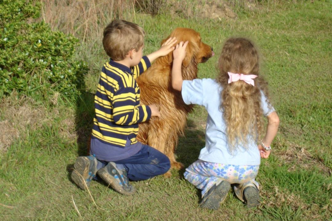 Photo of Others in Tinjaca