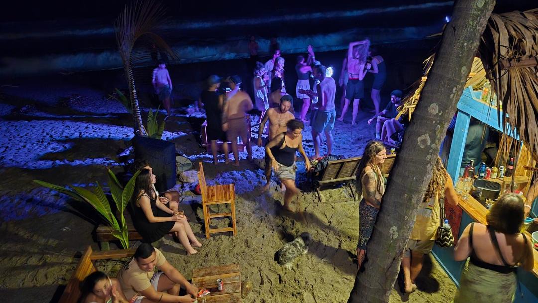 Photo of Others in Palomino