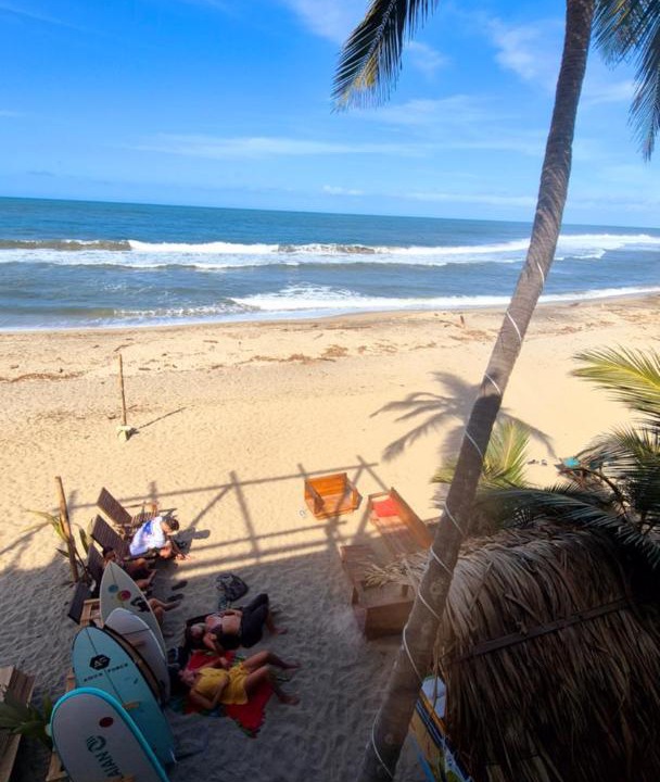 Photo of Others in Palomino