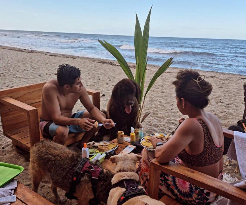 Photo of Others in Palomino