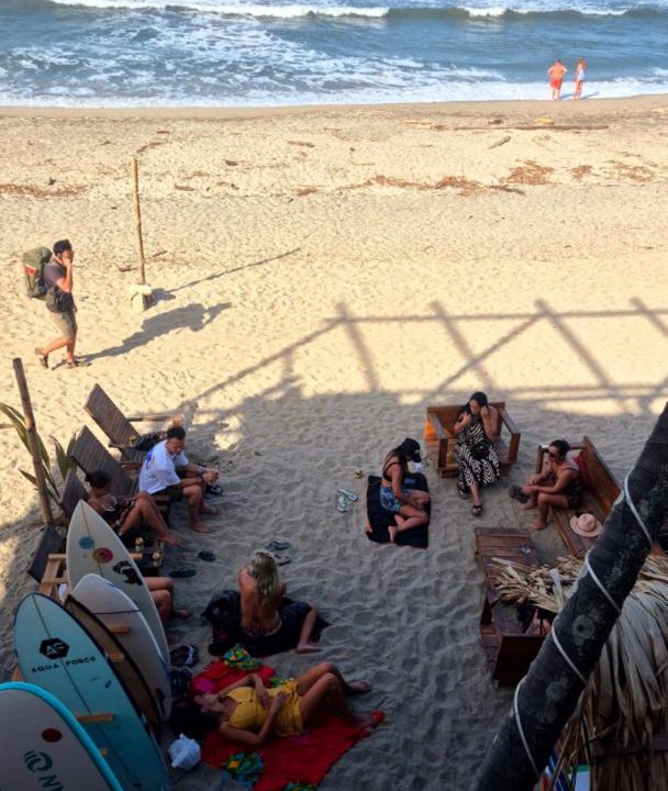 Photo of Others in Palomino