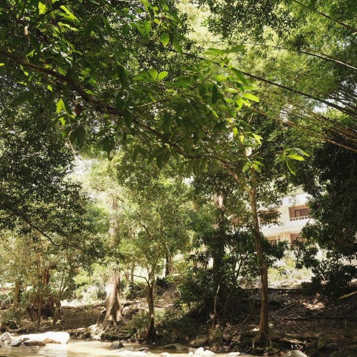 Photo of Others in Santa Marta
