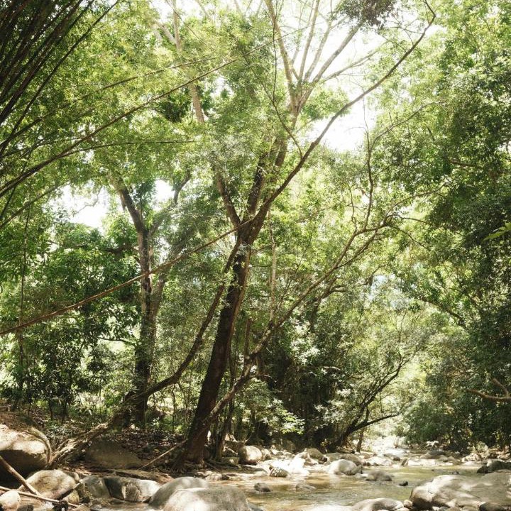 Photo of Others in Santa Marta