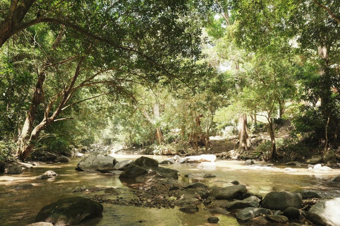 Photo of Others in Santa Marta