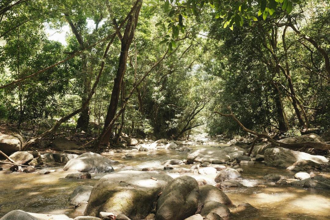 Photo of Others in Santa Marta