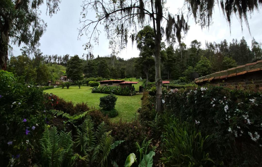 Photo of Others in La Chapa