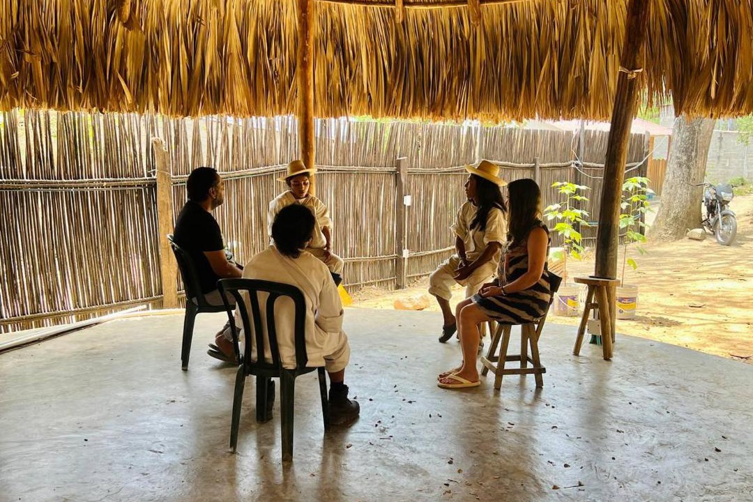 Photo of Others in Palomino