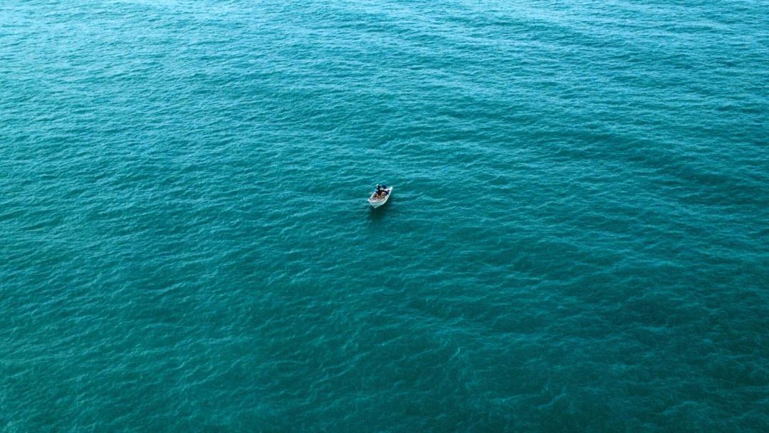Photo of Others in Palomino