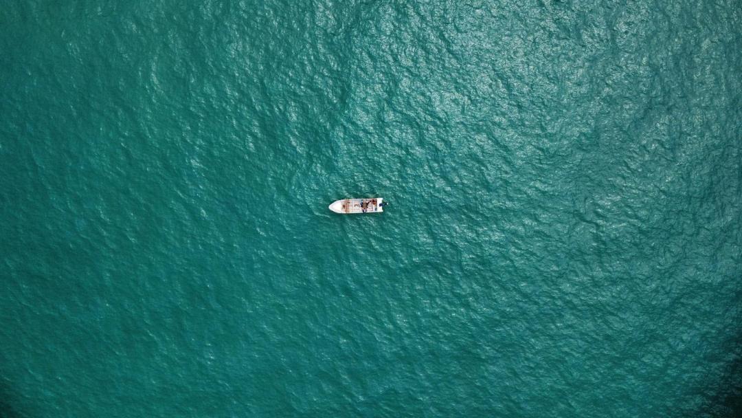 Photo of Others in Palomino