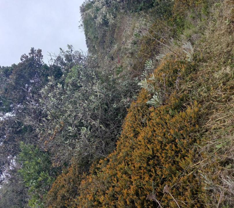 Photo of Others in Guatavita