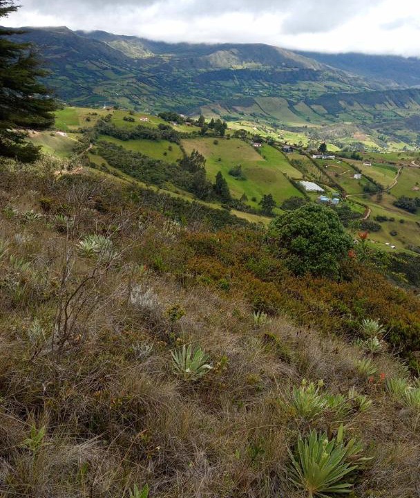 Photo of Others in Guatavita