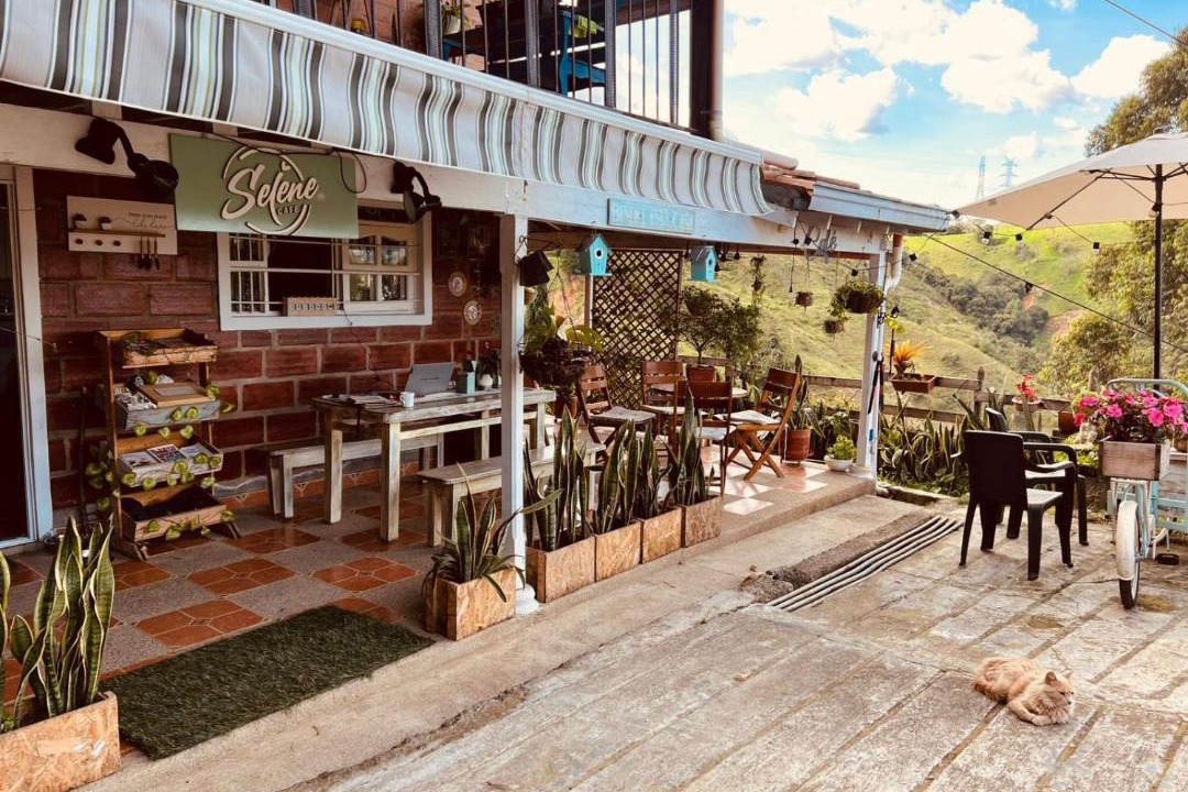 Photo of Others in Medellin