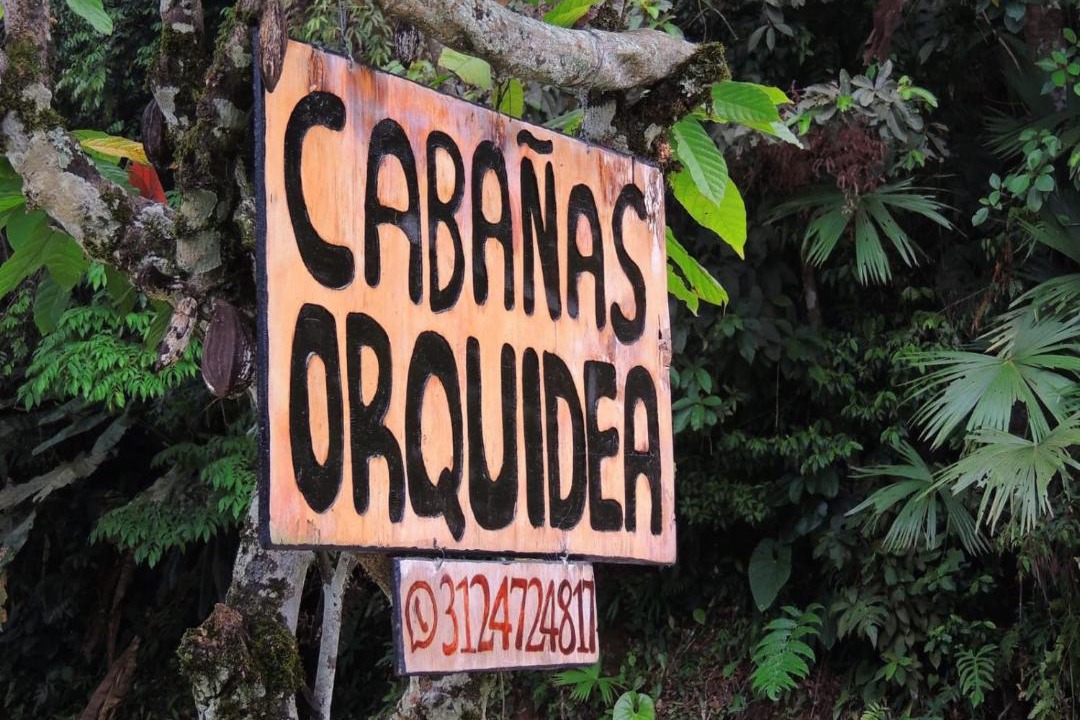 Photo of Others in Samana