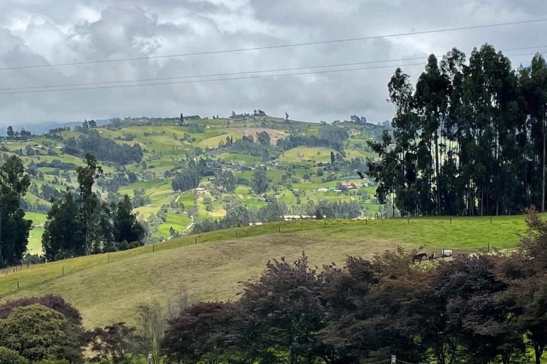 Photo of Others in Zipaquira
