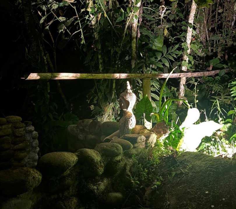 Photo of Others in Alegrias