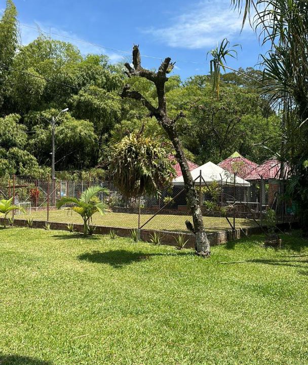 Photo of Others in Pereira