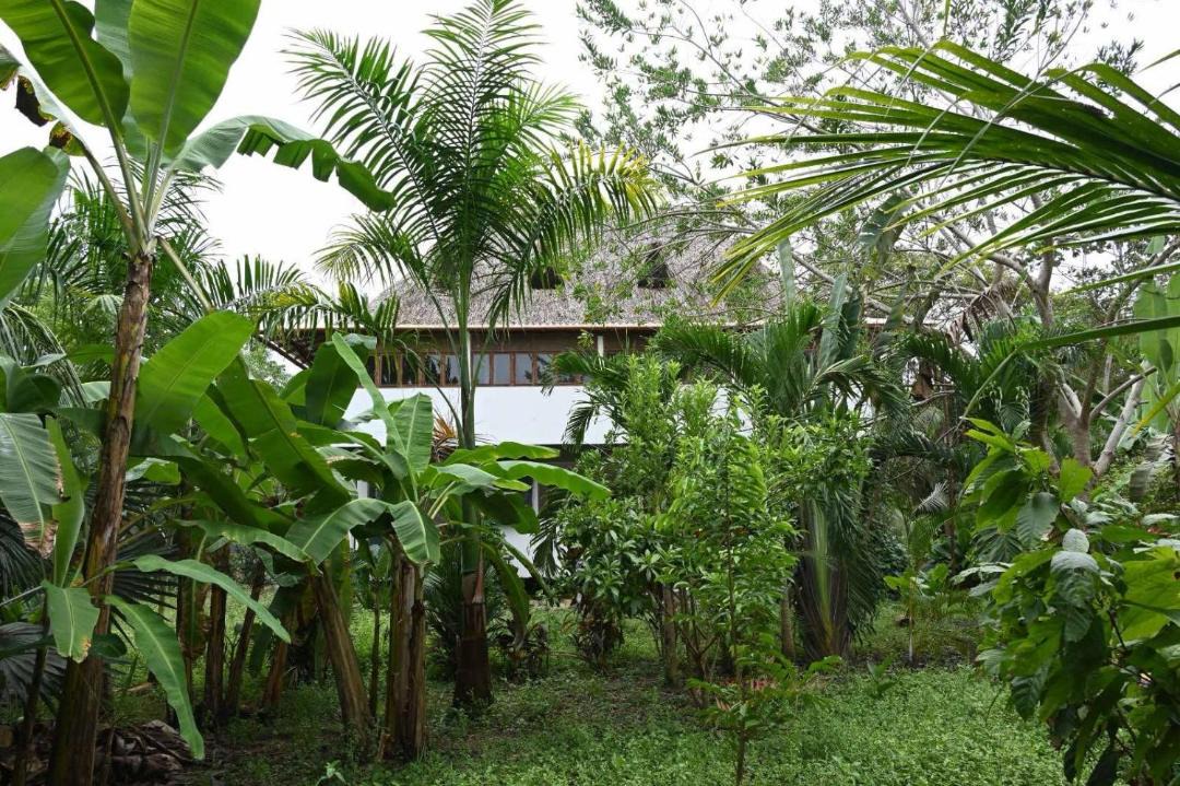Photo of Others in Buritaca