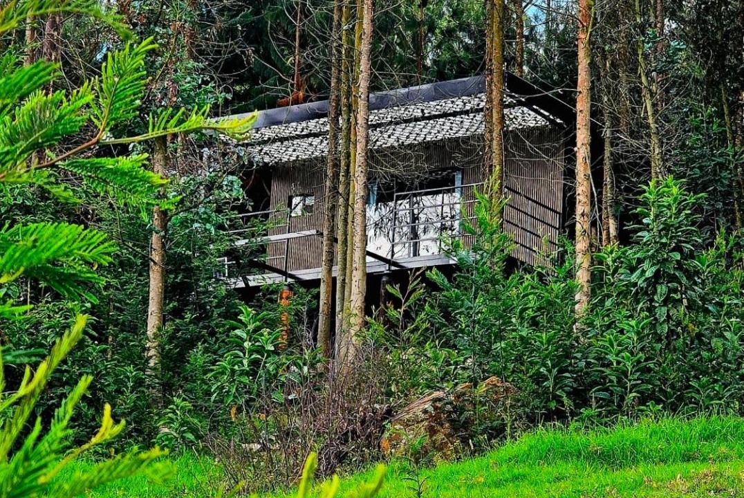 Photo of Others in Tabio