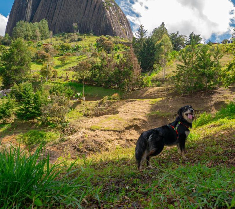 Photo of Others in Guatape