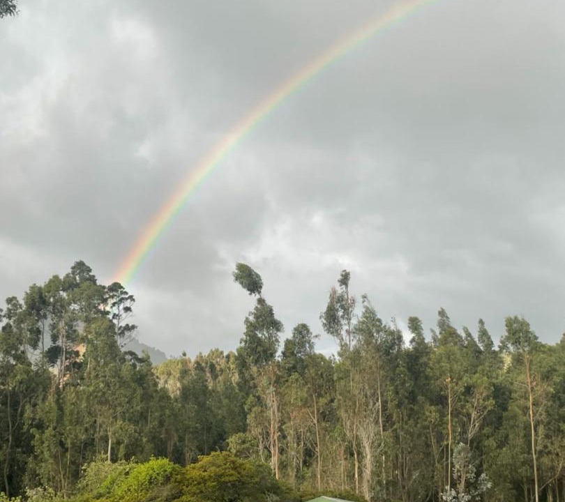 Photo of Others in Guatavita