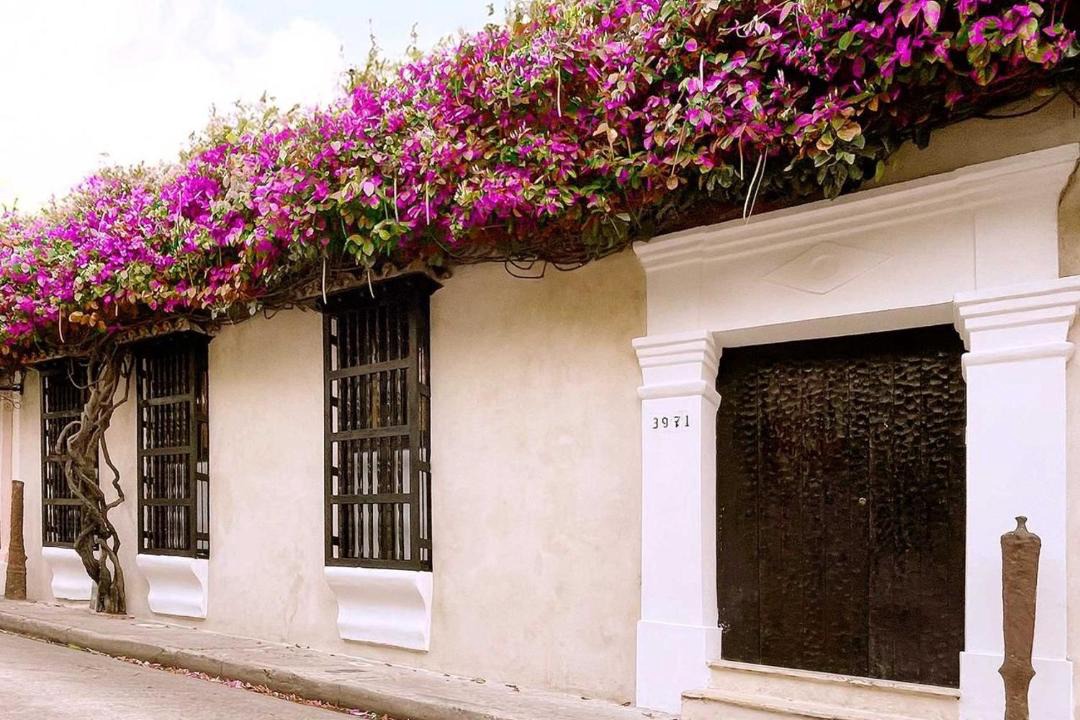 Photo of Others in Cartagena Walled City