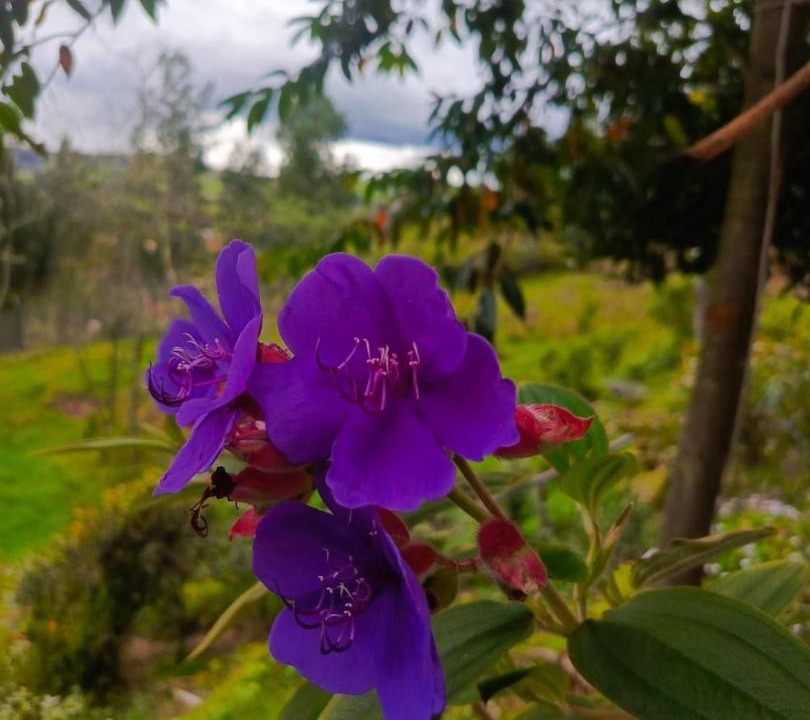 Photo of Outdoor in Paipa