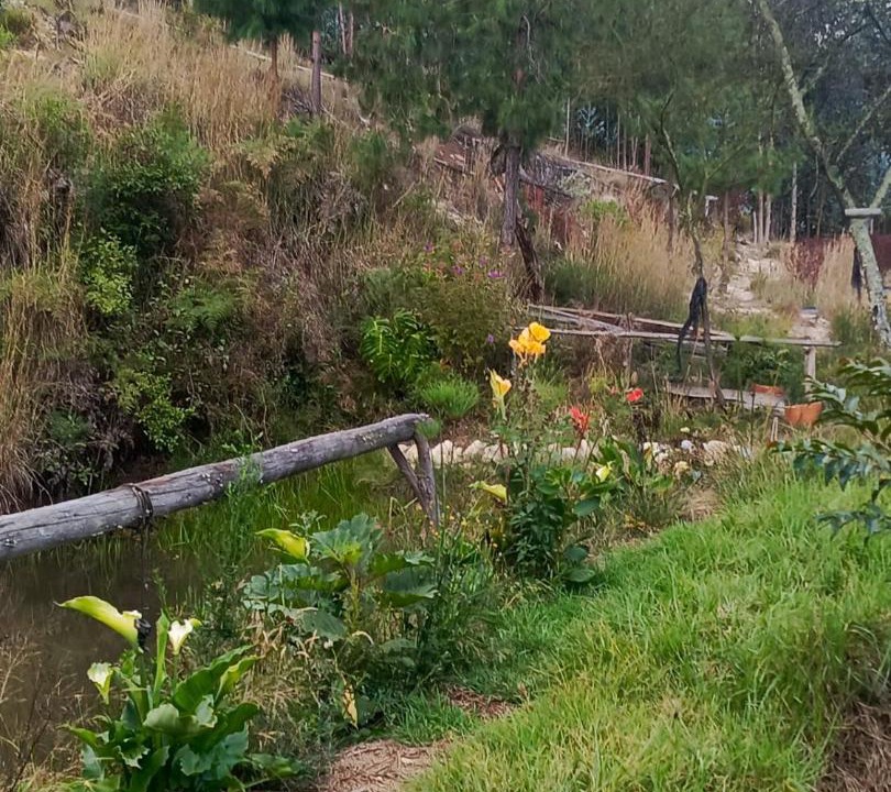 Photo of Outdoor in Paipa
