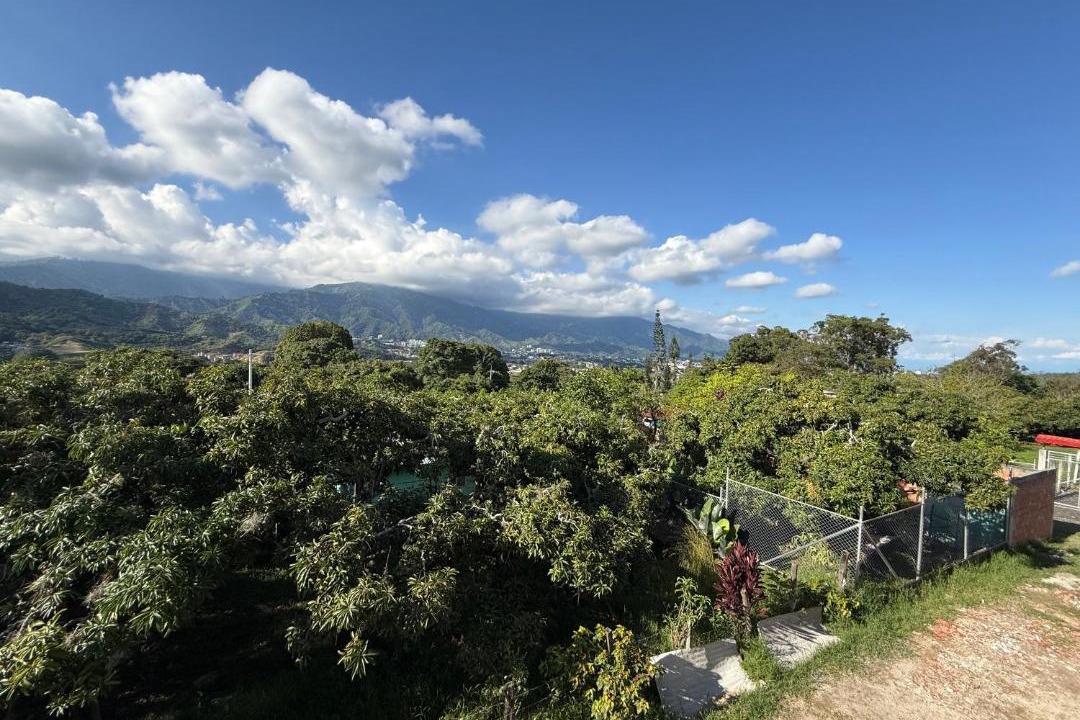 Photo of Others in Ibague