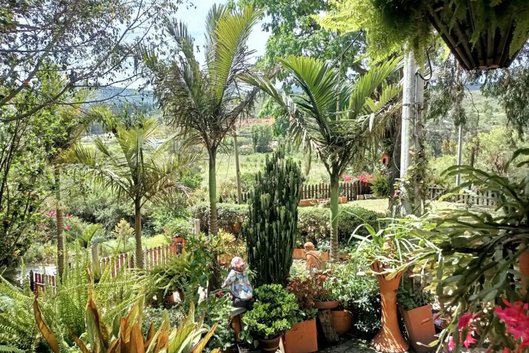 Photo of Others in Raquira
