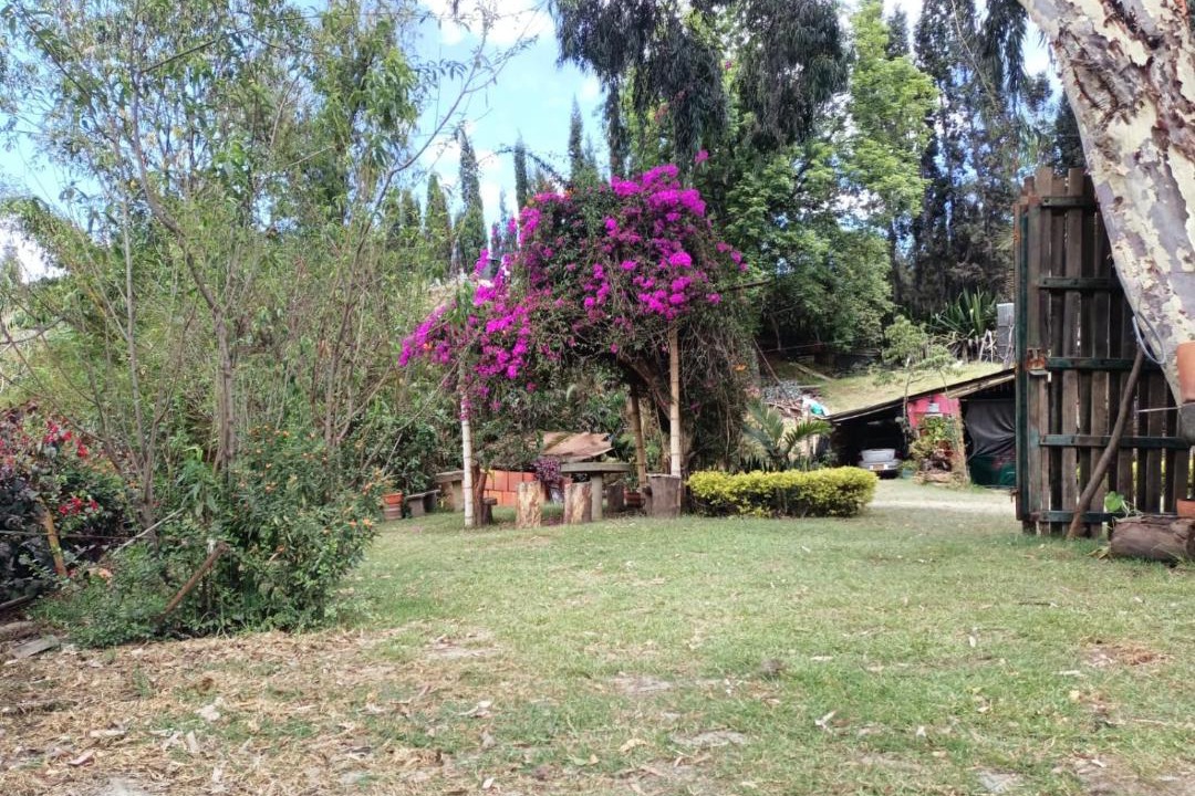 Photo of Others in Raquira