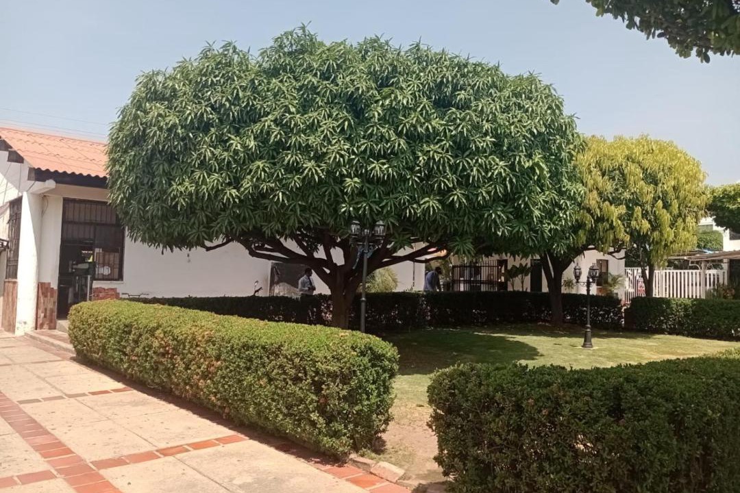 Photo of Others in Valledupar